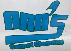 Meet Gabriel, Owner of Aras Carpet Cleaning in Downtown Tracy