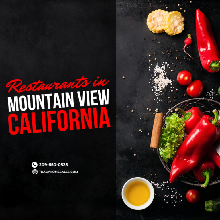10 Best Restaurants in Mountain View, CA Featured Image